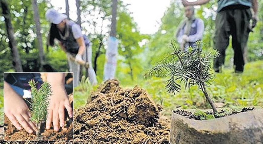 Her bebek için bir fidan Yeşil Vatan seferberliği başlıyor