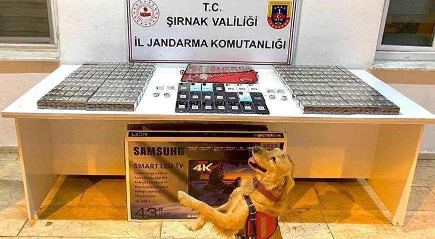 Şırnak’ta kaçakçılık ve uyuşturucu operasyonu: 91 gözaltı