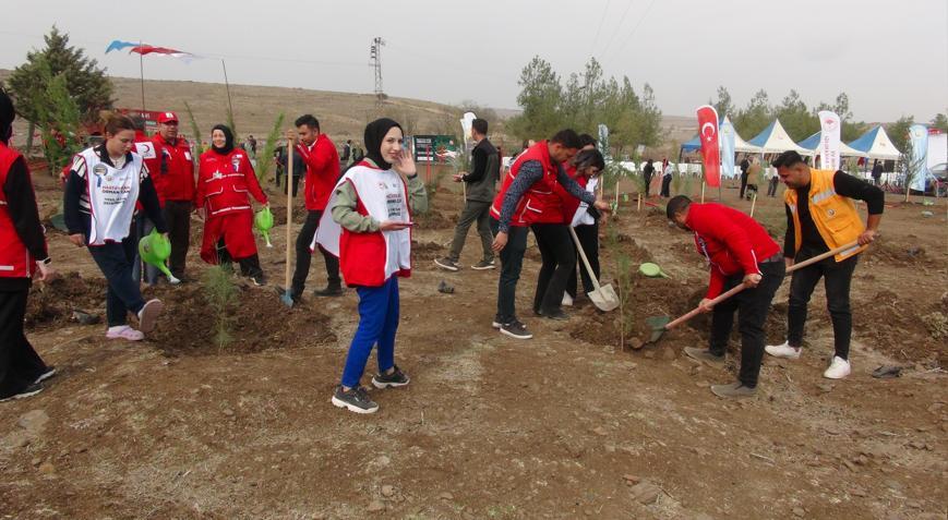 Kilis’te fidanlar toprakla buluştu