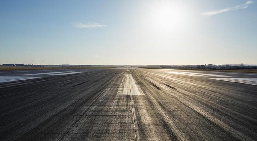 Japonyada şaşkınlık yaratan olay Piste ayı girdi, uçuşlar durdu