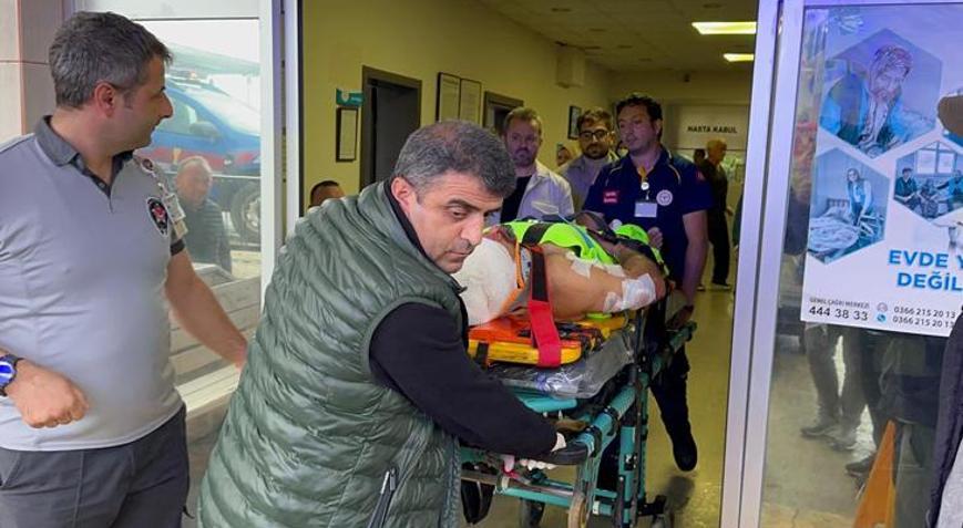 Mantar toplarken dehşeti yaşadı Ayı saldırısına uğrayan köy imamı yaralandı