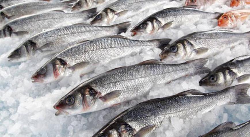 Taze balığı anlamanın en etkili yöntemi Gözünden anlaşılıyor