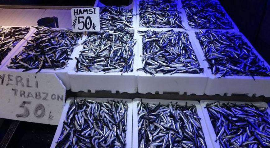 Trabzonlular hamsiye doydu: Kilosu 50 TLden satılıyor