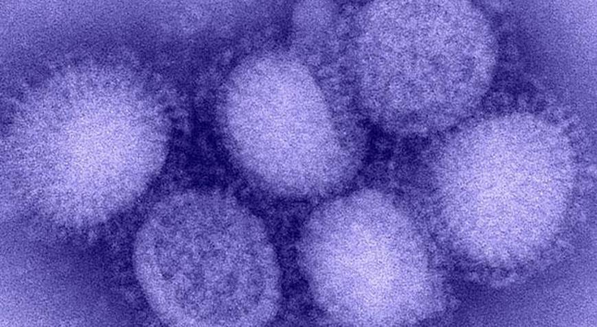 Yeni virüs alarmı H3N2 dünyada hızla yayılıyor: DSÖ’den acil uyarı