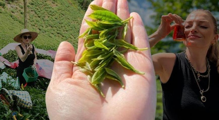 Çaya gitmemek için dua ederdi, şimdi ustası oldu: Tavşan kanı böyle demlenir