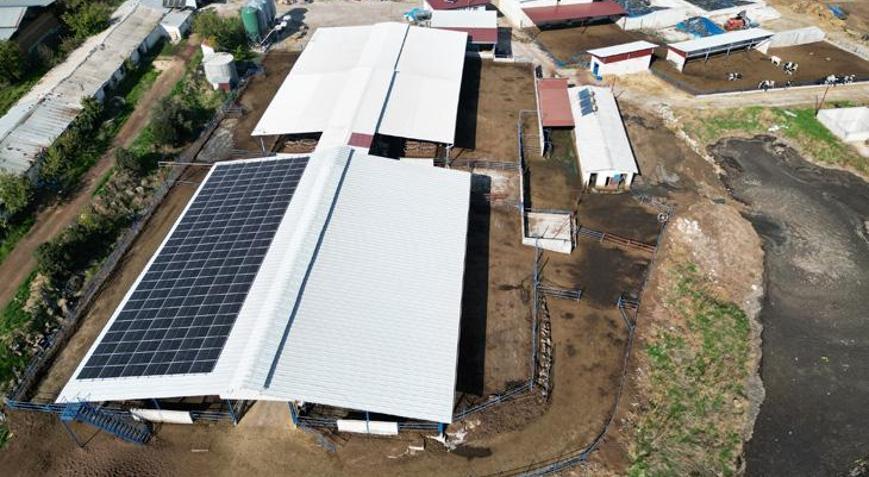 Memuriyeti bırakıp bu işe başladı Devletten 3 ayrı hibe aldı: İlk başladığımızda bir işçimiz çalışıyordu