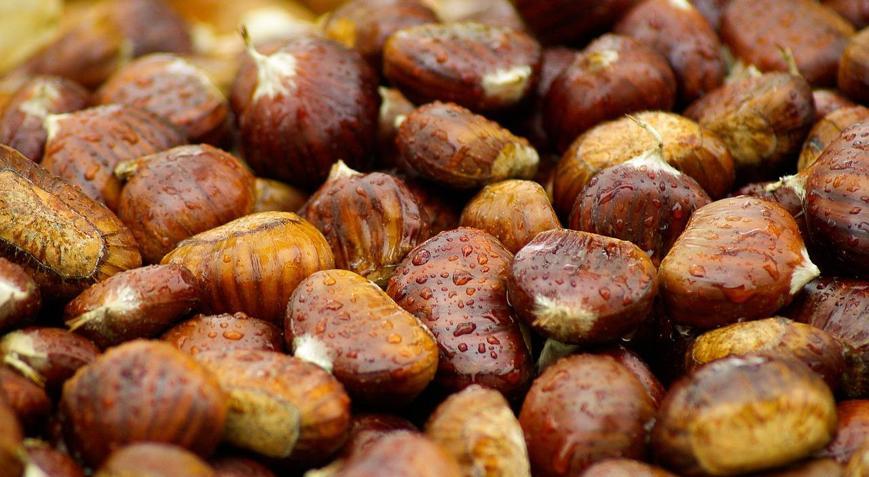 Kestane kabuğu fıstık gibi soyuluyor Lokum gibi kestane pişirme tekniği