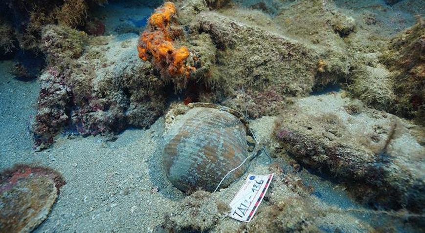 Fethiye kıyılarında su altı arkeologlarını heyecanlandıran keşif