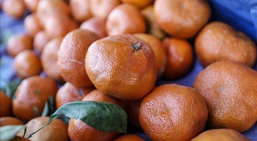 Türkiyenin mandalina ihracatı 375 milyon dolara yükseldi