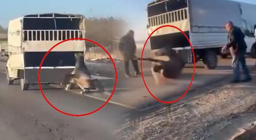 Kara yolunda korkunç anlar Atı kamyonetin arkasında dakikalarca sürükledi