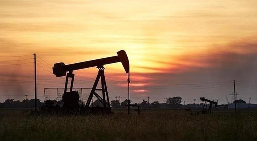 ABDnin ticari ham petrol stokları azaldı