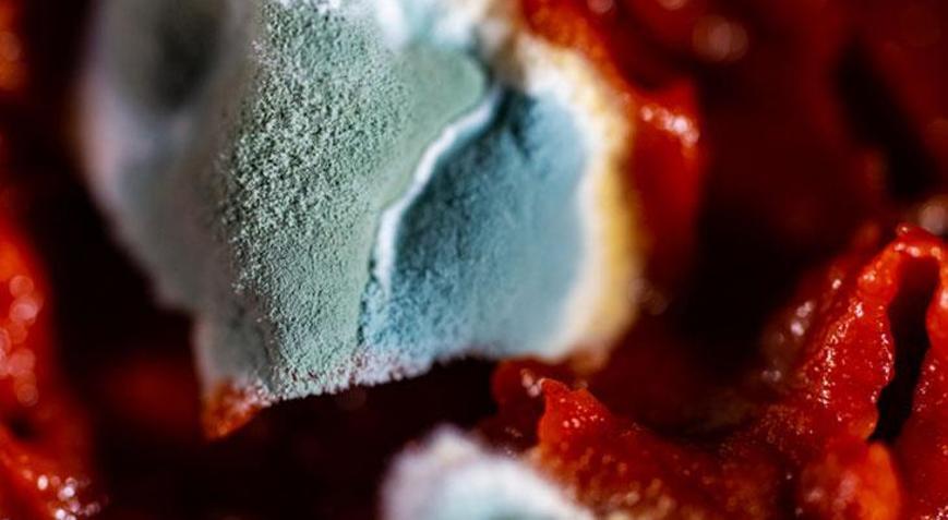 Salça küflenmesine birebir Kış boyu küflenmiyor