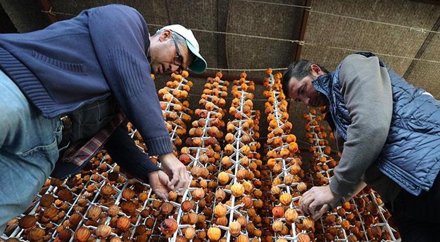 Girişimci iki komşunun kuruttuğu cennet hurması yurt içi ve dışında alıcı buluyor