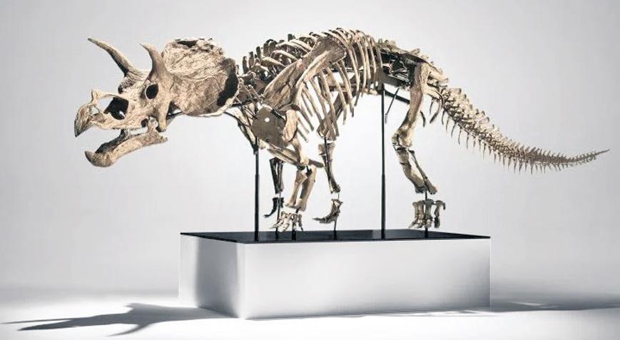 Müzayede evini dinozorlar bastı