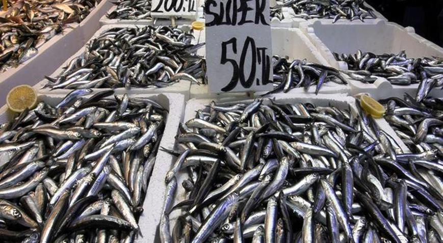 Hamside fiyat düştü, ilgi arttı