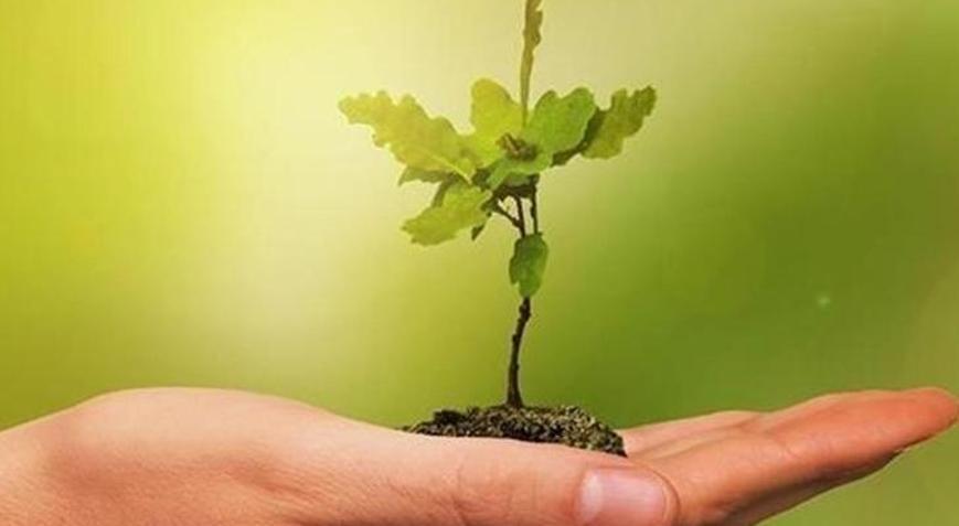 COP30da küresel yeşil sanayileşme gündemi güçlendi