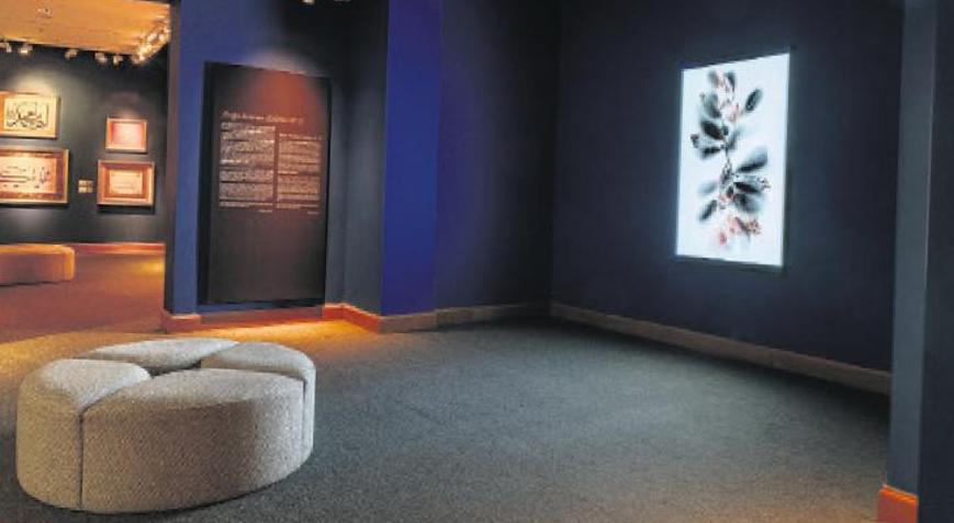 İklim krizine dikkat çekiyor