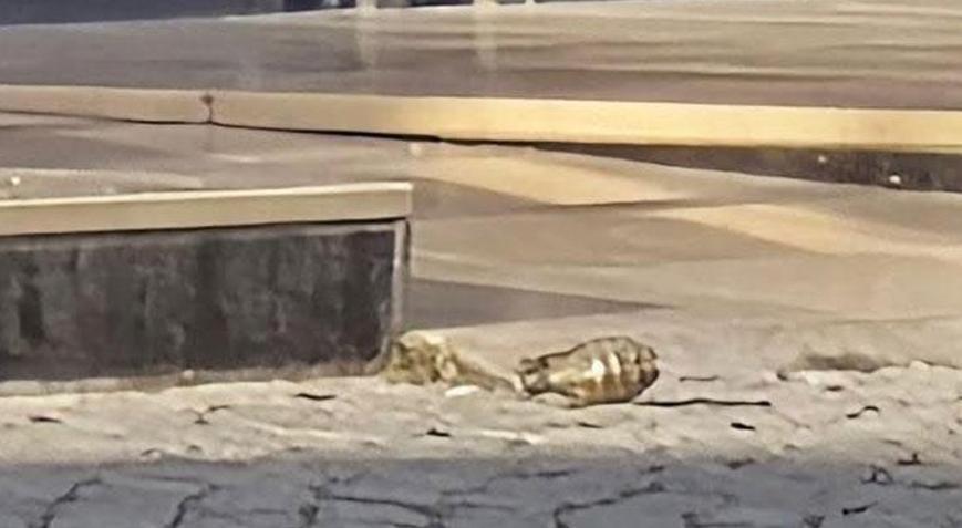 Esenyurtta otele el bombası atıldı