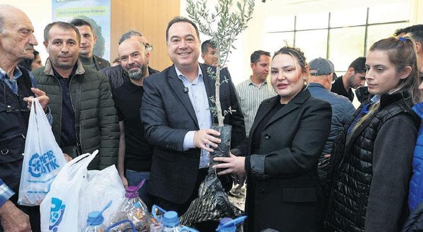 Atık pil getirene zeytin fidanı