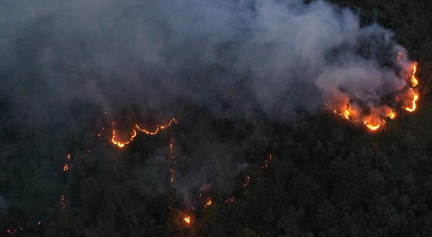 Artvinde örtü yangını ormana sıçradı
