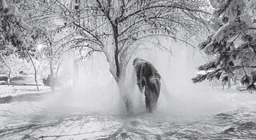 Mamut hem sergide hem dijitalde