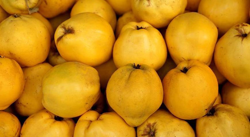 Ayvayı kuru kuru yemenize gerek yok Bu yöntemlerle suyunu salıyor