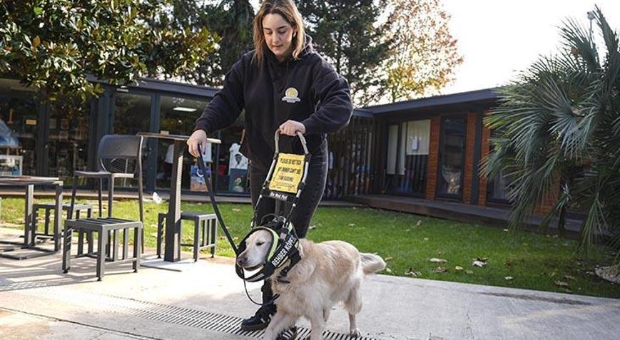 Hayat kurtaran patiler, görme engellilerin gözleri oluyorlar Türkiye’de sadece 11 tane var