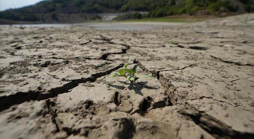 Toprak ile su kaybı, gıdayı ve geleceği doğrudan tehdit ediyor