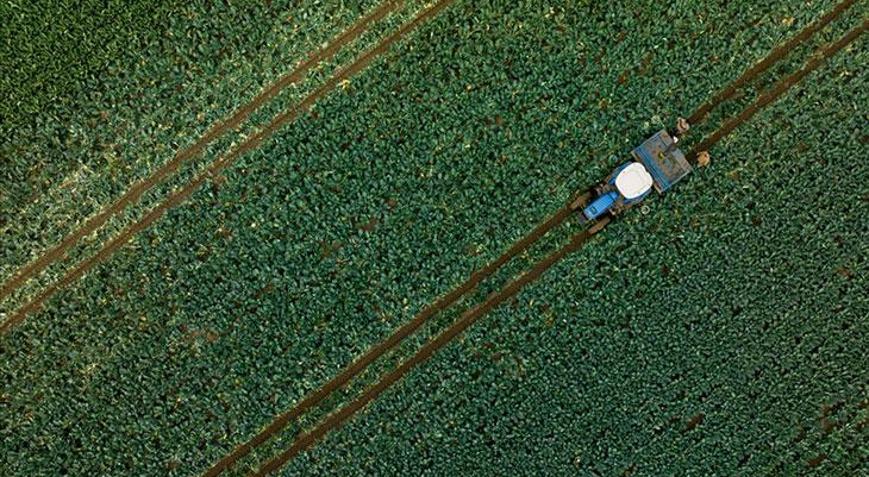 1,1 milyar liralık tarımsal destekleme ödemesi bugün yapılacak