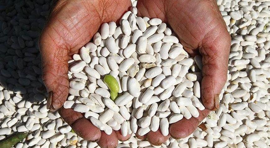 DMMden Kuru fasulye krizi iddiasına açıklama