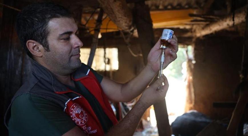 Milasta şap alarmı 11 mahallede 30 günlük karantina