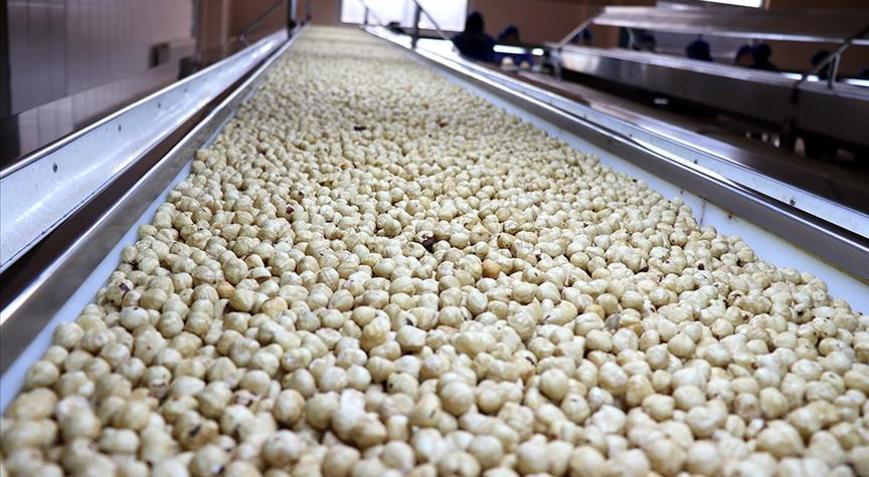 Trabzonun fındık ihracatı 523 milyon doları aştı