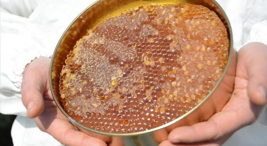 Doğu Karadenizin bal ihracatı 1,9 milyon doları aştı