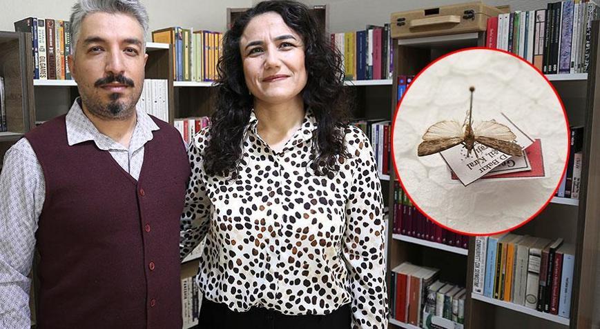 Türkiye’de keşfedildi, dünyada bir ilk Yeni türe eşinin adını verdi: Teşekkür etmek istedim