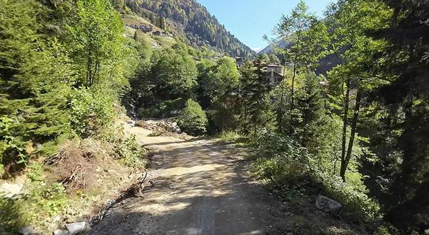 Rize’de orman alarmı 174 bin hektarlık yeşil alan riskte