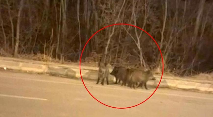 Kentin her yerini sardılar Vatandaşlar tedirgin: Tedbirli olmalıyız