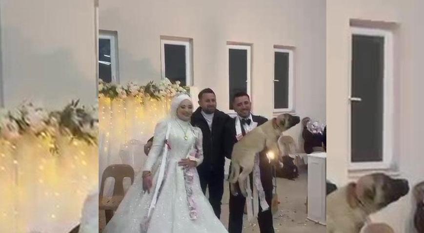 Sıra dışı düğün hediyesi Gelen misafirler şaşkına döndü: Değeri 100 bin TL