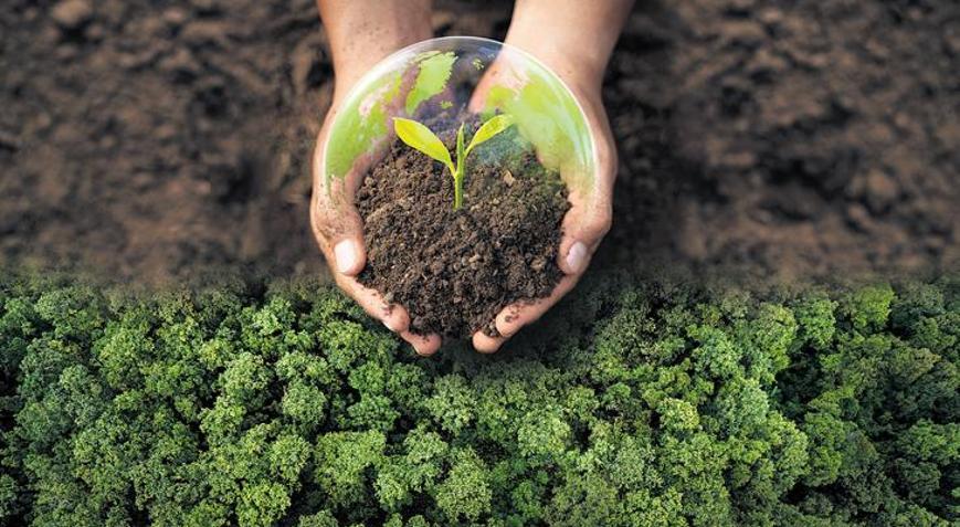 Türkiye’nin İklim Elçileri, Milliyet’e konuştu: ‘COP31’de biz de masada olmalıyız’