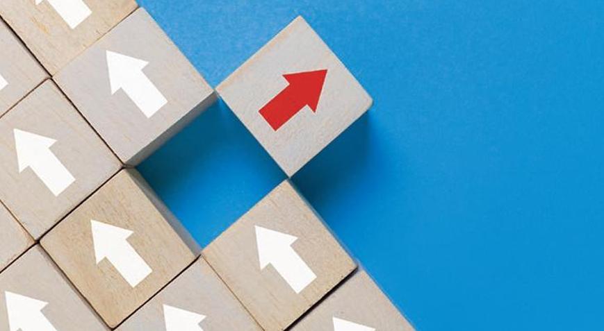 Şirketlerde yeni büyüme mimarisi