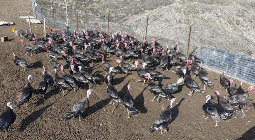 Almanyadan memleketine dönüp kendi işinin patronu oldu: Çevre illere de açılmak istiyoruz