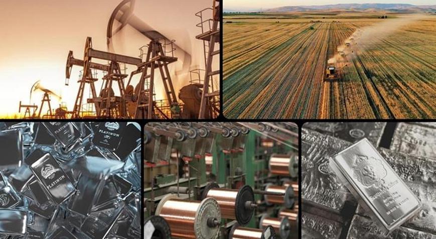 Altın ve 2 değerli metalde tarihi zirve Piyasalarda rekor haftası