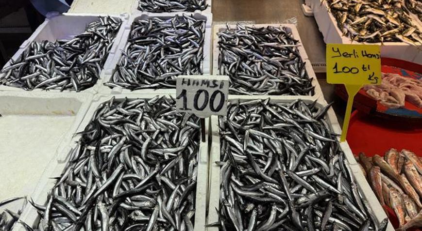 Trabzonda hamsi ve istavrit 100 liradan satılıyor
