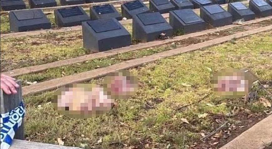 Avustralya’da İslam karşıtı provokasyon Müslüman mezarlığına domuz kafaları bırakıldı