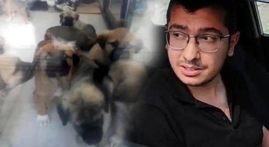 Köpeklere cinsel istismarda bulunup, öldüren doktorun cezası belli oldu Bebekliğimizde kesilen saçlar savunması