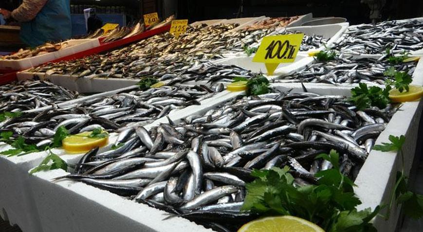Karadeniz’de hamsi bolluğu sürüyor