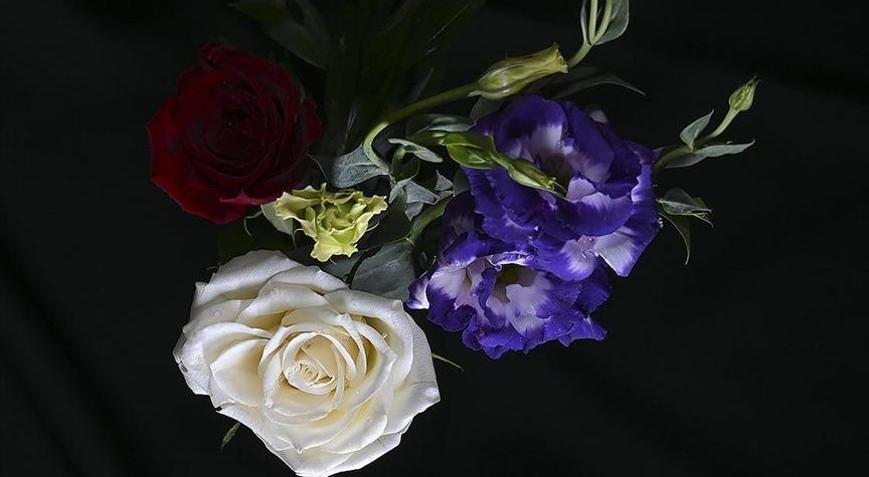 Türkiyeden 12 milyon dolarlık çiçek ihracatı