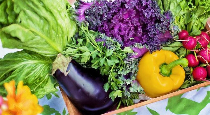 Buzdolabında yeşillik saklamanın püf noktası Bir bardakla farkı göreceksiniz