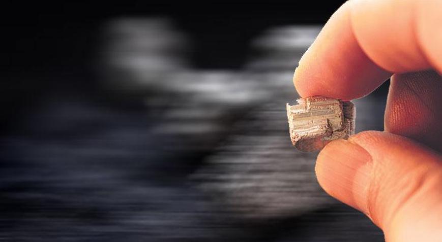 NTE yarışına AB de katılıyor