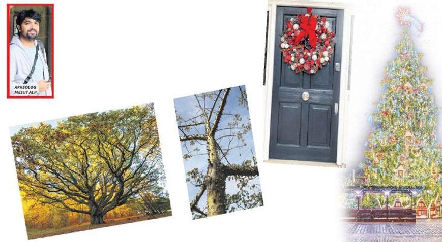 Karanlık kış günlerinden gelen hayat ağacı