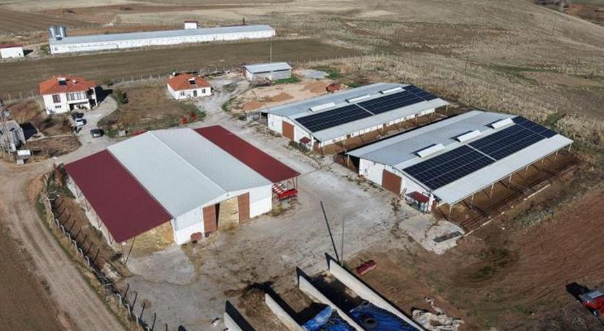 Yüzde 60 hibe desteğiyle çiftlik kurdu: Devlet olmasaydı hayal bile edemezdik